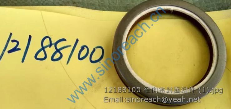 12188100 径向密封圈组件 (1)