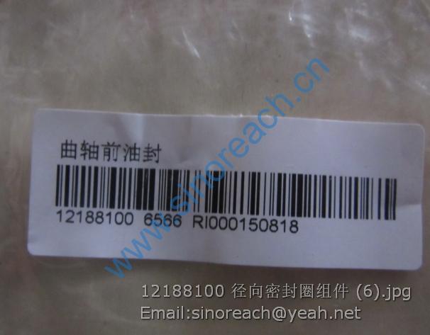 12188100 径向密封圈组件 (6)
