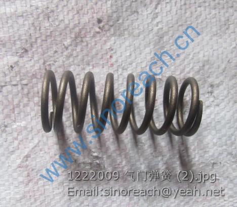1222009 气门弹簧 (2)