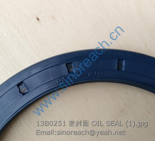 13B0251 密封圈 OIL SEAL (1)