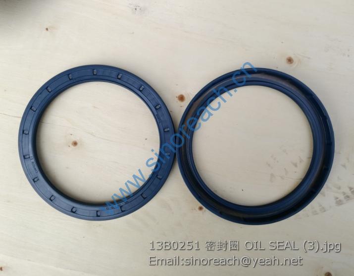 13B0251 密封圈 OIL SEAL (3)