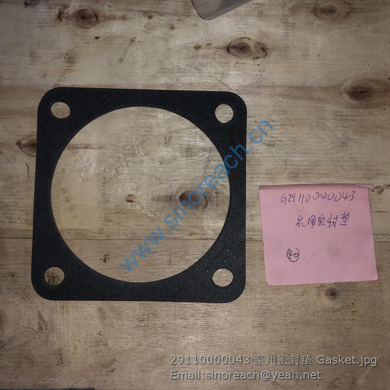 29110000043 泵用密封垫 Gasket