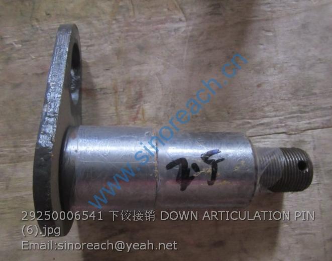 29250006541 下铰接销 DOWN ARTICULATION PIN (6)