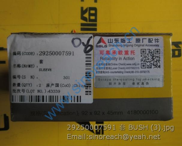 29250007591 套 BUSH (3) - 副本