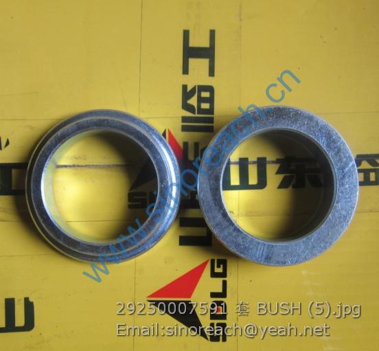 29250007591 套 BUSH (5) - 副本