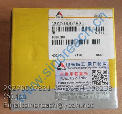 29270007831 套 BUSH 506238 (6)