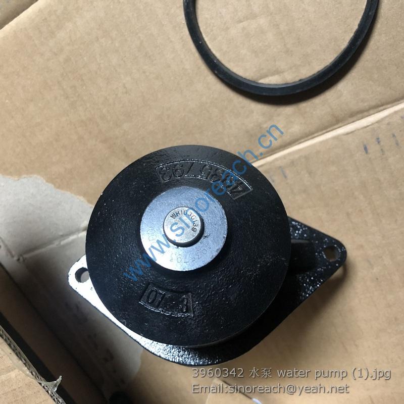 3960342 水泵 water pump (1)
