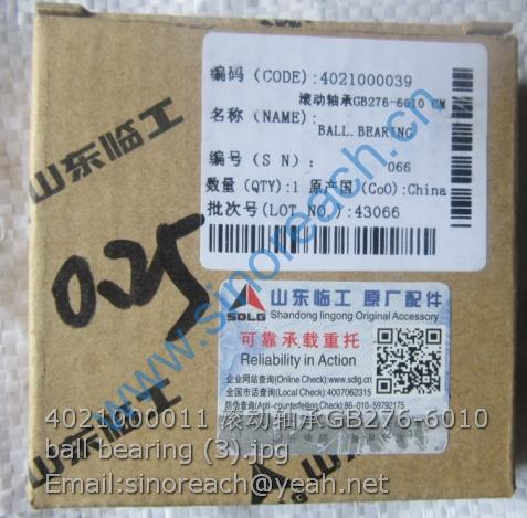 4021000011 滚动轴承GB276-6010 ball bearing (3)