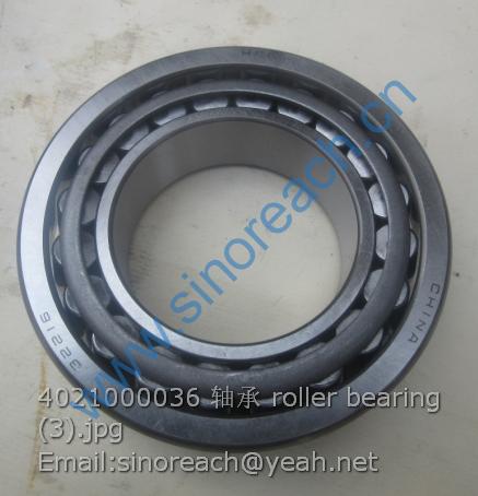 4021000036 轴承 roller bearing (3)