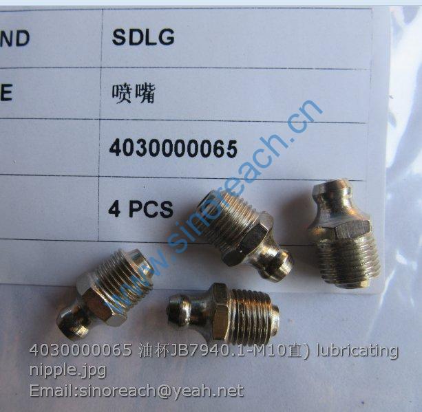 4030000065 油杯JB7940.1-M10直) lubricating nipple