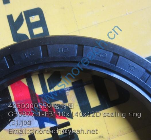 4030000559 密封圈GB9877.1-FB110x140x12D sealing ring (5)