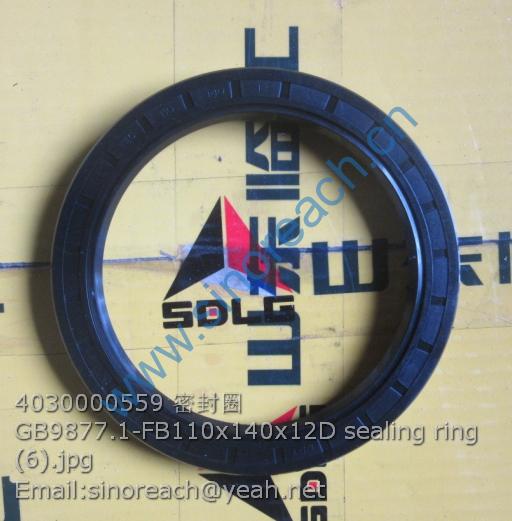 4030000559 密封圈GB9877.1-FB110x140x12D sealing ring (6)