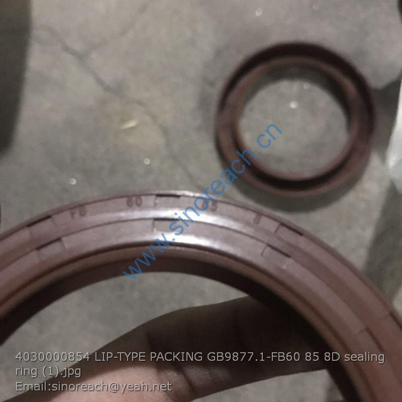 4030000854 LIP-TYPE PACKING GB9877.1-FB60 85 8D sealing ring (1)