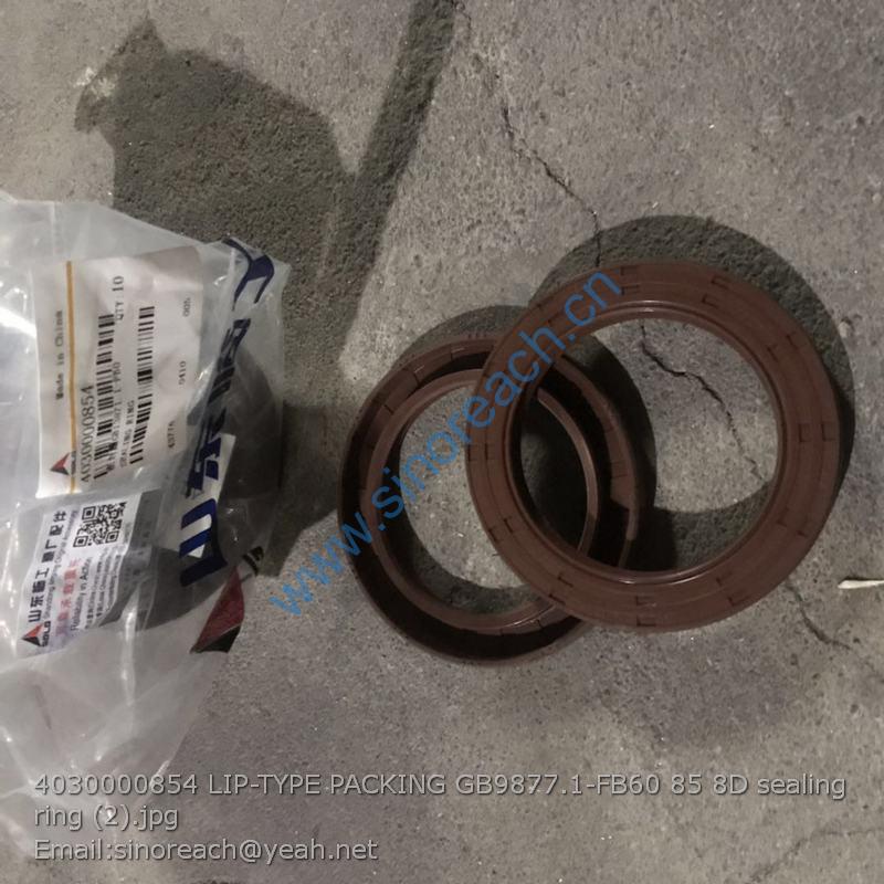 4030000854 LIP-TYPE PACKING GB9877.1-FB60 85 8D sealing ring (2)