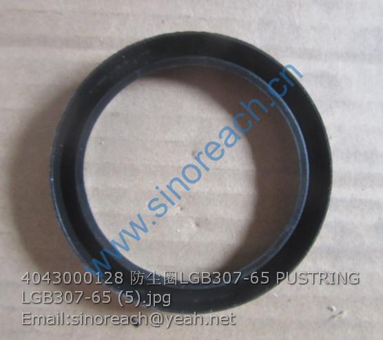 4043000128 防尘圈LGB307-65 PUSTRING LGB307-65 (5)