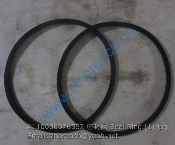 4110000076352 密封圈 Seal Ring (1)