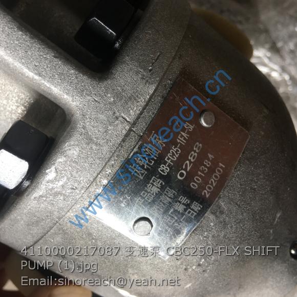 4110000217087 变速泵 CBC250-FLX SHIFT PUMP (1)