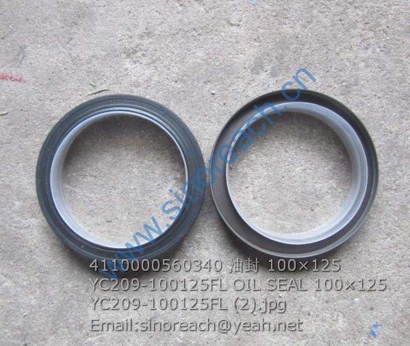 4110000560340 油封 100×125 YC209-100125FL OIL SEAL 100×125 YC209-100125FL (2)