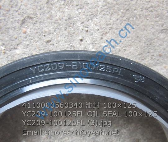 4110000560340 油封 100×125 YC209-100125FL OIL SEAL 100×125 YC209-100125FL (3)