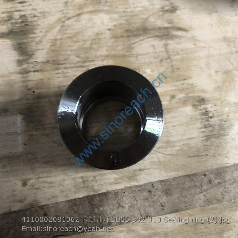 4110002081062 内封油环DB55 302 010 Sealing ring (2)