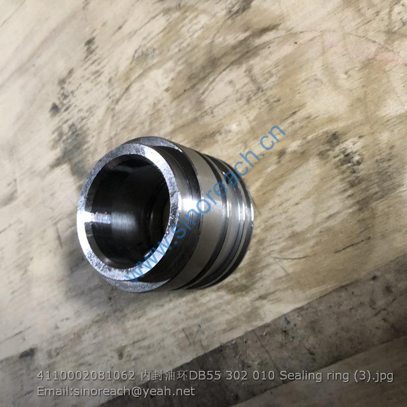 4110002081062 内封油环DB55 302 010 Sealing ring (3)