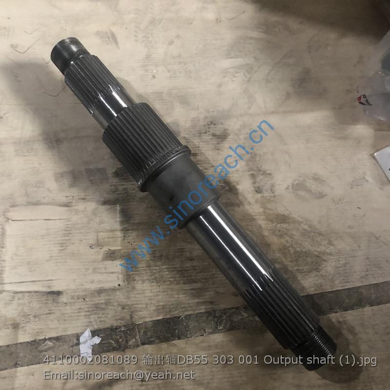 4110002081089 输出轴DB55 303 001 Output shaft (1)