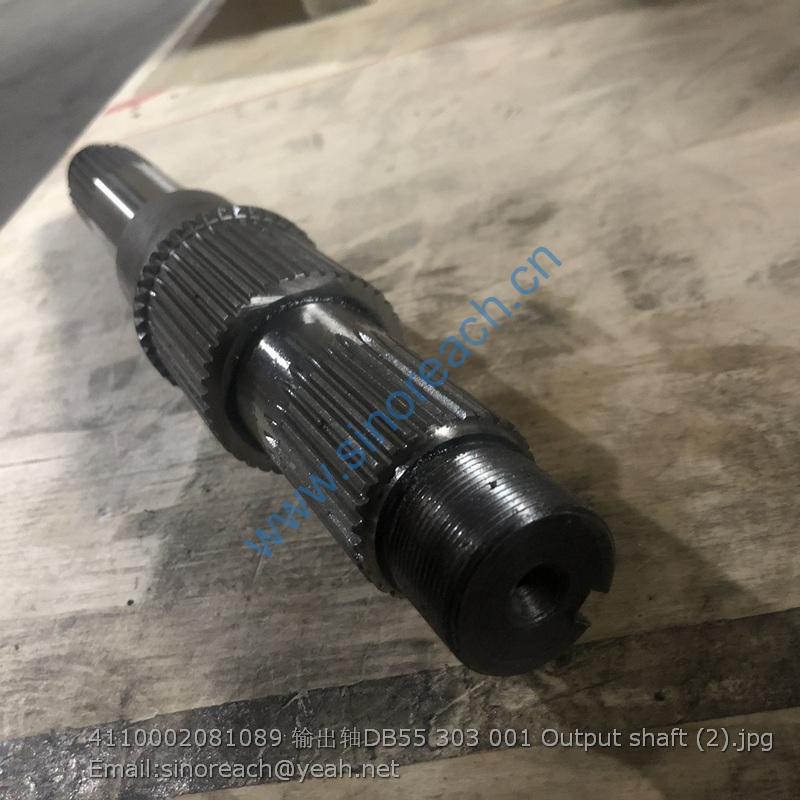 4110002081089 输出轴DB55 303 001 Output shaft (2)