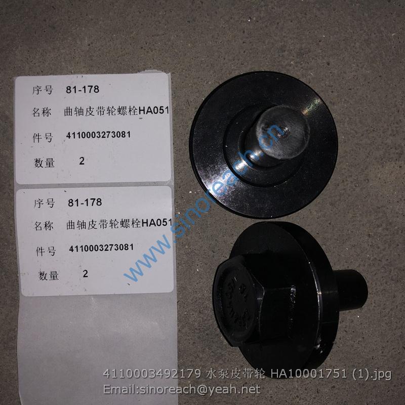 4110003492179 水泵皮带轮 HA10001751 (1)