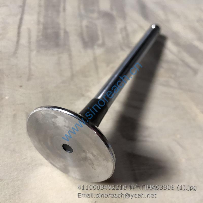 4110003492210 排气门HA03308 (1)