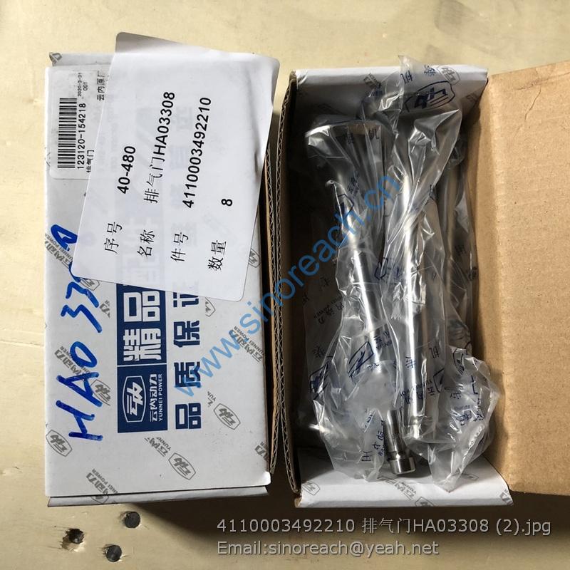 4110003492210 排气门HA03308 (2)