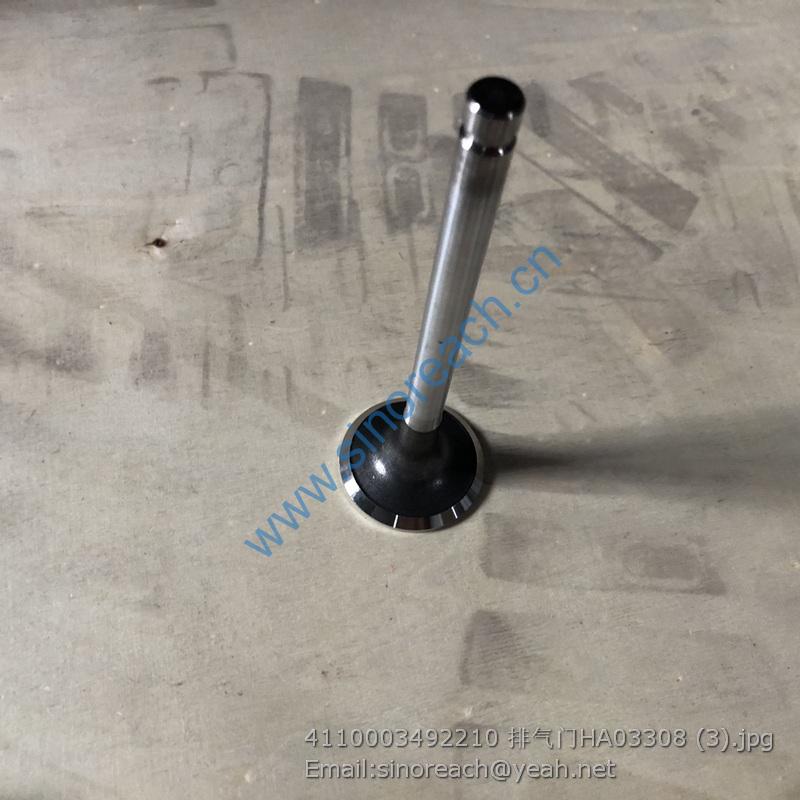 4110003492210 排气门HA03308 (3)