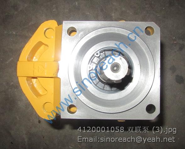 4120001058 双联泵 (3)