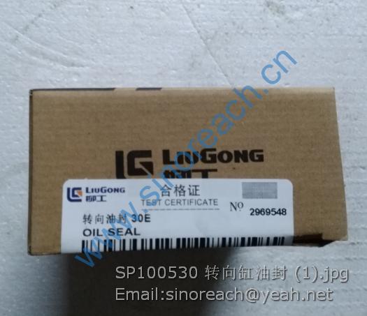 SP100530 转向缸油封 (1)