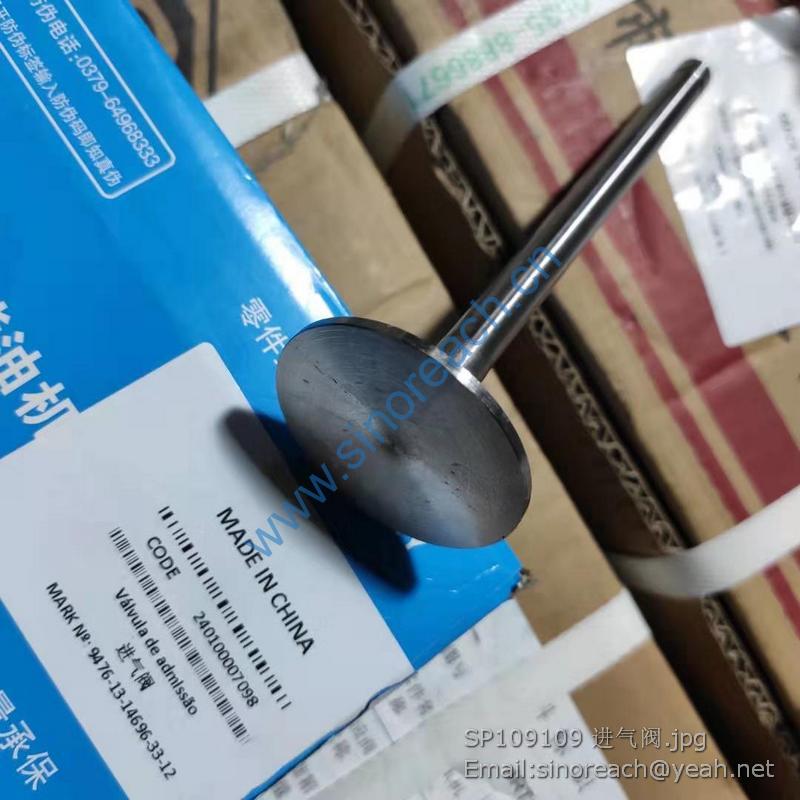 SP109109 进气阀