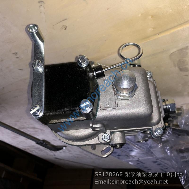 SP128268 柴喷油泵总成 (10)