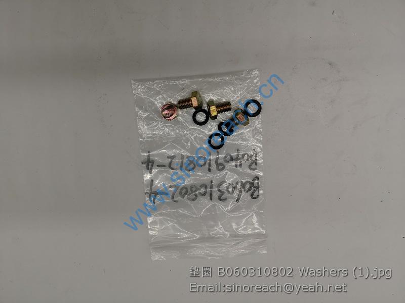 垫圈 B060310802 Washers (1)