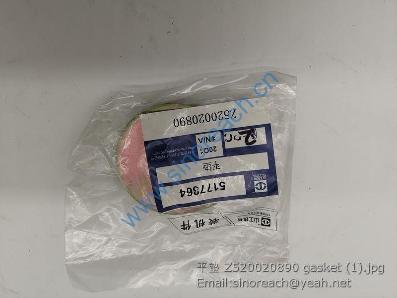 平垫 Z520020890 gasket (1)