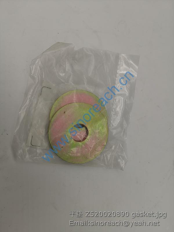 平垫 Z520020890 gasket