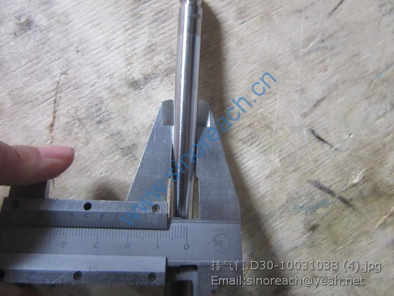 排气门 D30-1003103B (4)