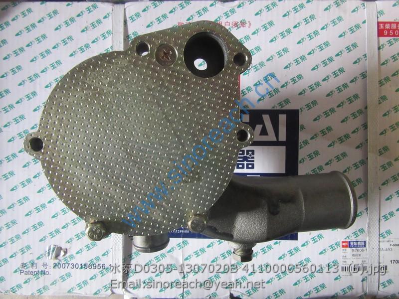 水泵D0305-1307020B 4110000560113 (5)