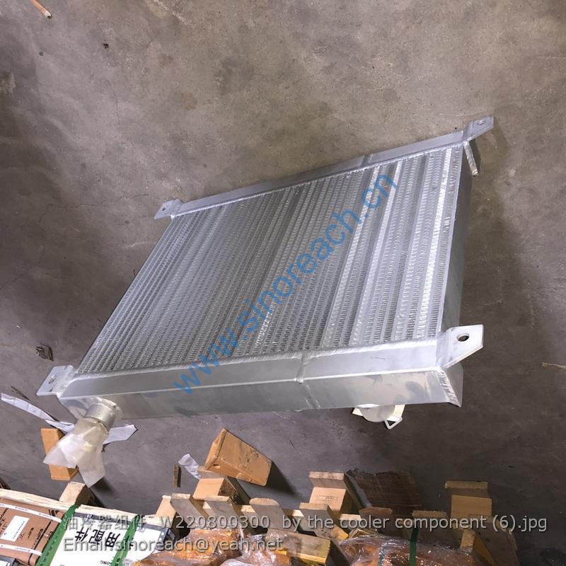 油冷器组件 W220800300 by the cooler component (6)