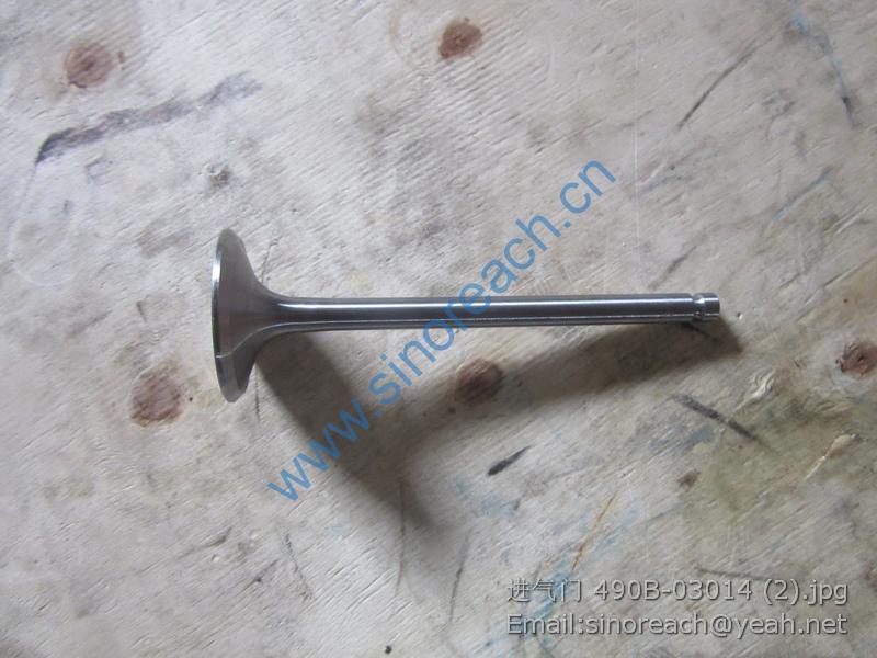 进气门 490B-03014 (2)