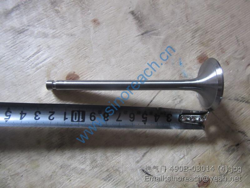 进气门 490B-03014 (4)