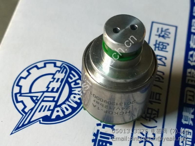 0501313375 电磁阀 (7)