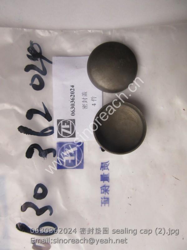 0630362024 密封垫圈 sealing cap (2)