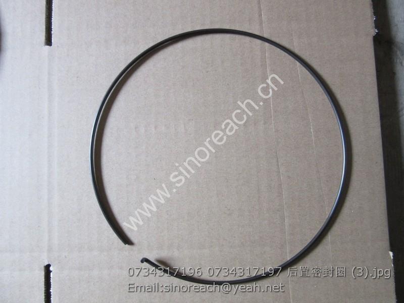 0734317196 0734317197 后置密封圈 (3)