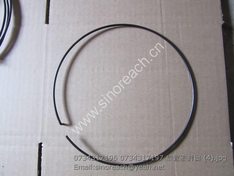 0734317196 0734317197 后置密封圈 (4)