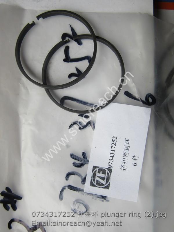 0734317252 柱塞环 plunger ring (2)