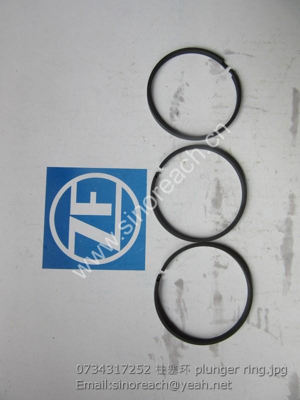 0734317252 柱塞环 plunger ring