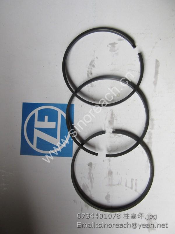 0734401078 柱塞环